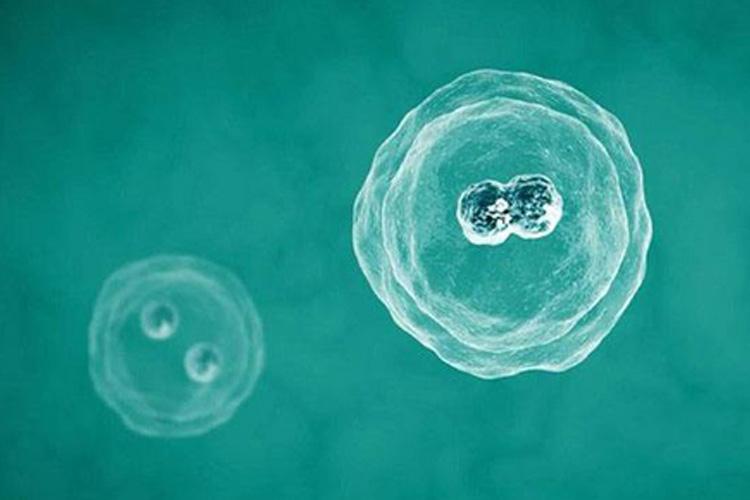 漳州a卵b怀流程：胚胎的质量等级是什么？这些数字和字母都有不同的含义
