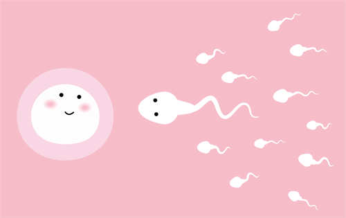 曲靖助孕公司网-服用法迪兰可以生双胞胎吗，有最新的在线案例分析。