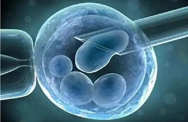 柳州助孕公司qq群：冷冻胚胎移植中的干净裤子并不意味着失败，有很多成功的案例。