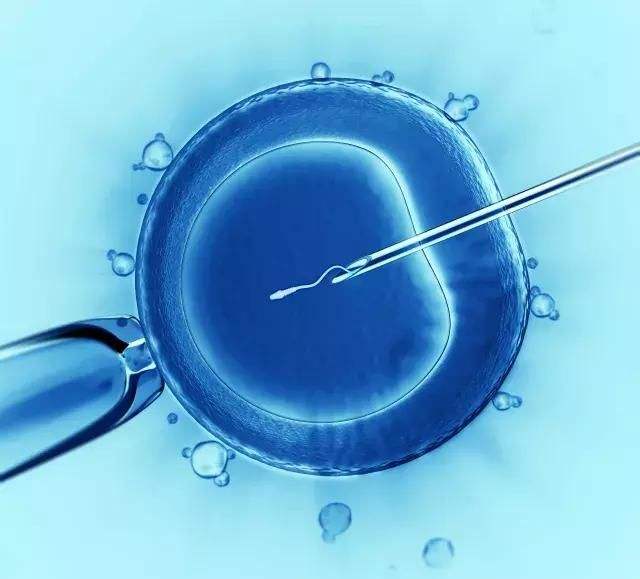 长春借卵试管助孕群：长效和短效试管婴儿方案的区别是什么？短效长方案和短方案促进排卵，哪个更适合做IVF？